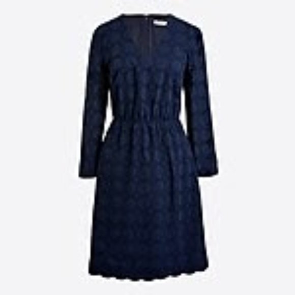 J. Crew Navy Lace Eyelet Dress - Picture 4 of 4